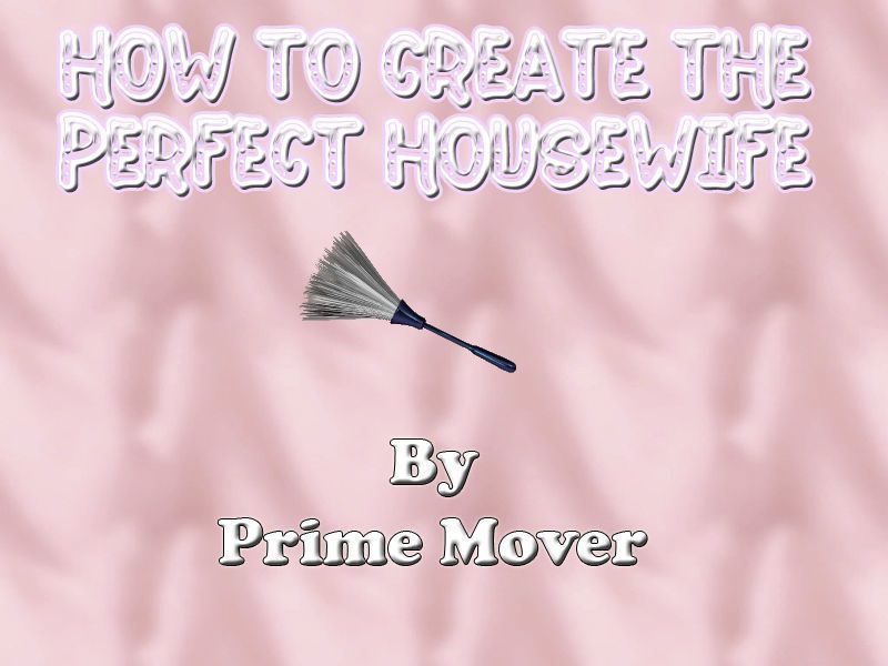 How to create the Perfect Housewife